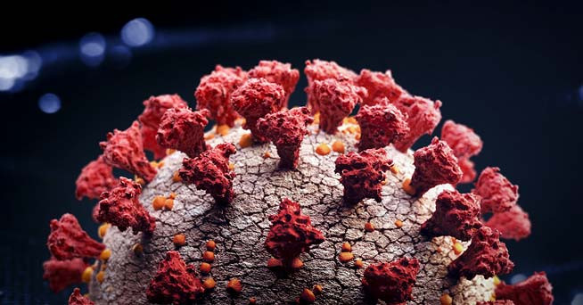 Illustration of COVID-19 virus