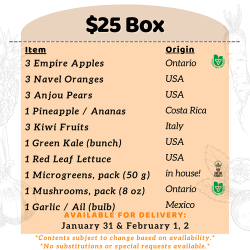 25 Box Ottawa Good Food Box
