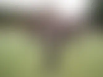 Make Way For The New Wave of Today | Youth Sector