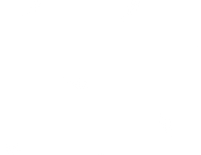 White Blank Background