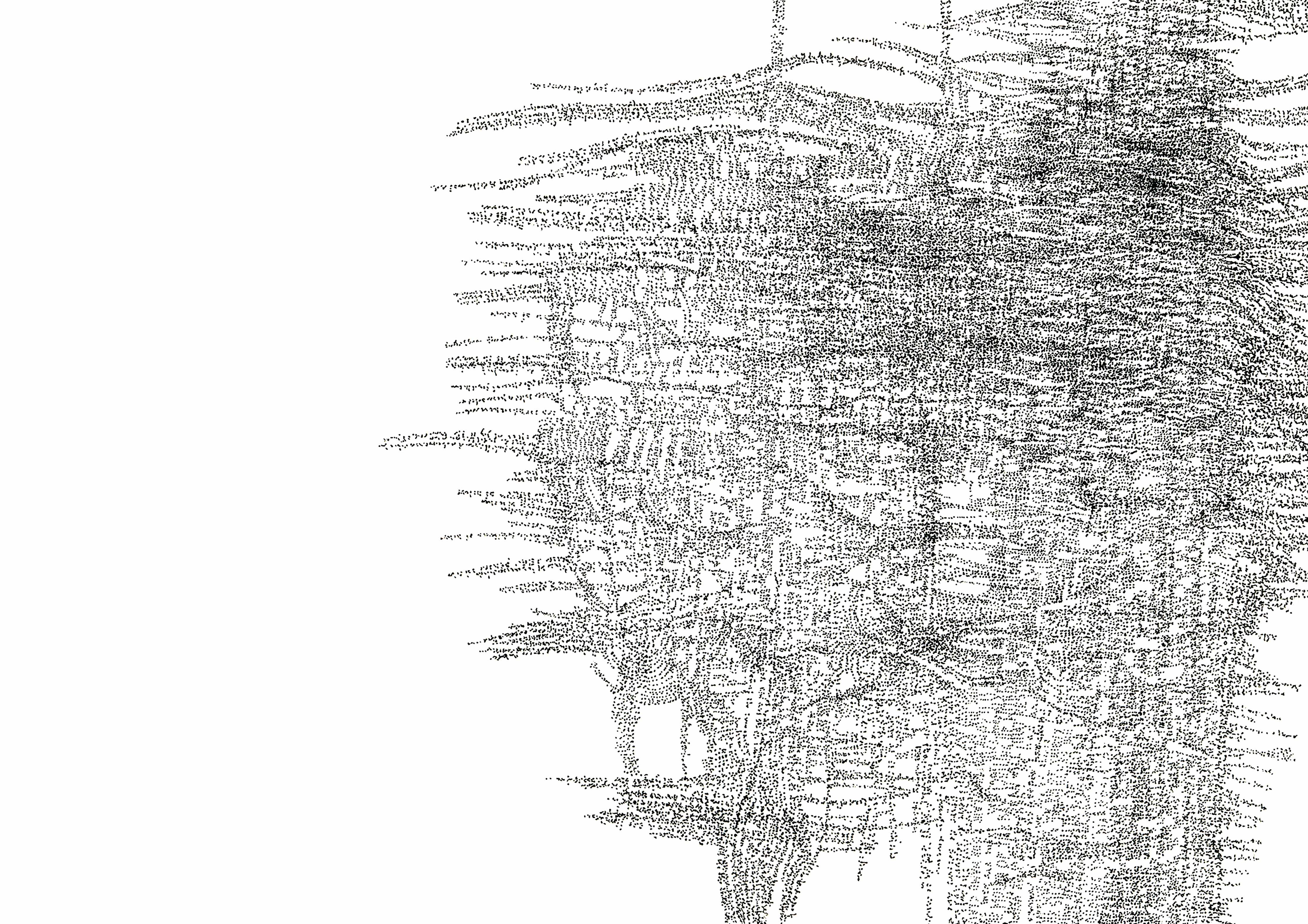 Torso – Camus Series