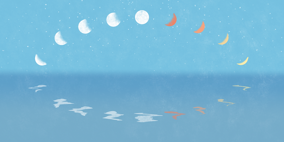 sketch1607435811132.png