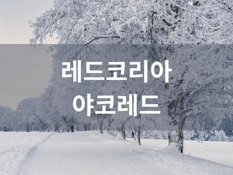 레드코리아 야코레드