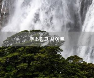 주소링크 사이트