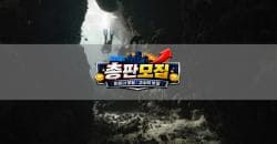 총판 구인구직