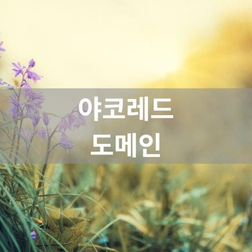 야코레드 도메인