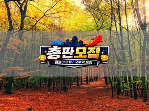 총판모집 도메인