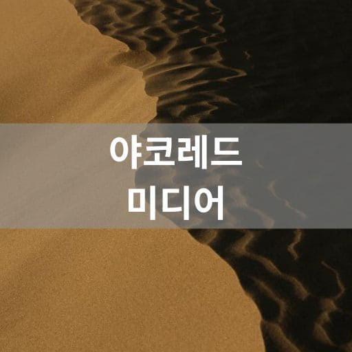 야코레드 미디어