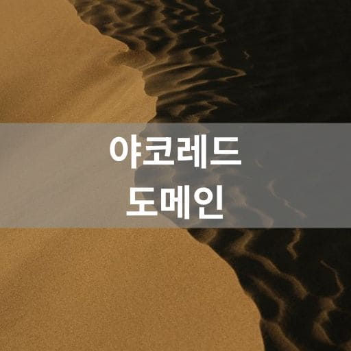 야코레드 도메인