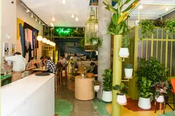 coffee stories modernista