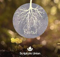 Rooted