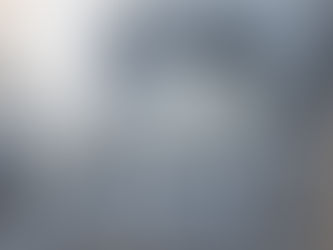 O UNIVERSO VISUAL DA TOILE DE JOUY