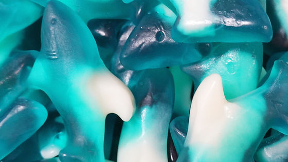 Gummy Sharks