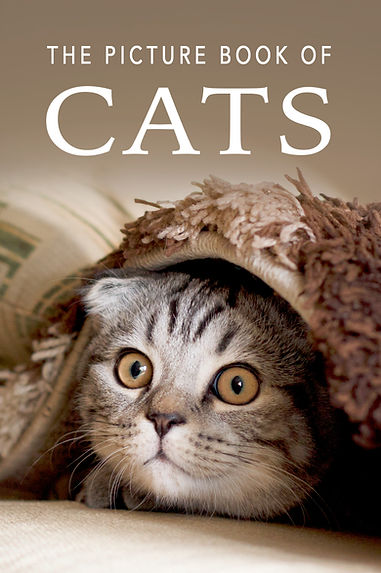 FRONT COVER CATS copy.jpg