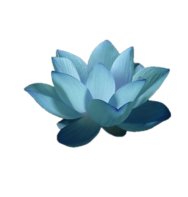 lotus.png
