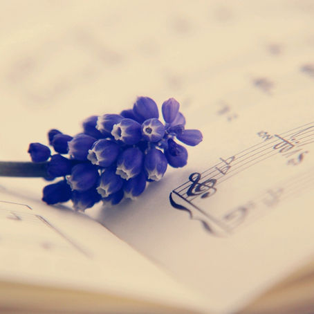 Meditation: Gregorianischem Gesang lauschen...