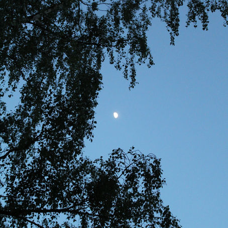 Gute Nacht für heut'