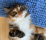 IMG_9480_edited_edited_edited_edited_edi