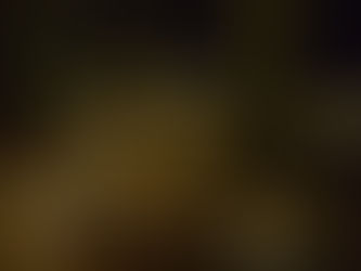 Welcome to the Enchanted Forest: Fireflies on Life, Death, and the Mysteries of Consciousness