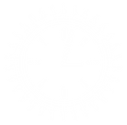 48797806.png