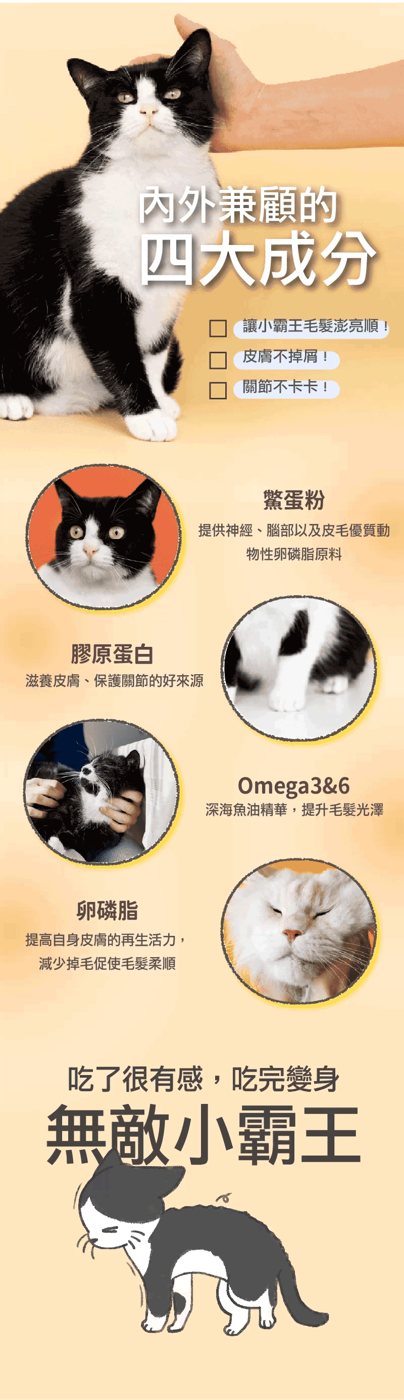 縮圖：Parkcat貓樂園無敵貓糧·霸王野雞