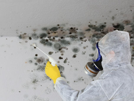 Protecting Your Health: Why Asthma Sufferers Should Prioritize Mold Testing in Home Buying
