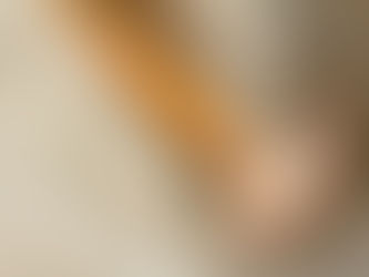 Reasons Your Sewer Line Could Be Having Issues