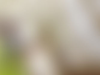 How Can I Tell If My Home Isn’t Insulated Well?