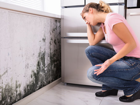 Unmasking Unseen Hazards: Meth, Mold, and Radon