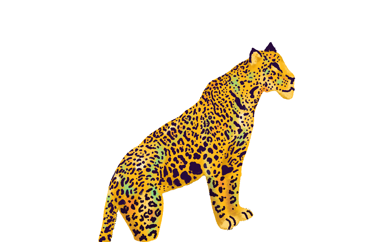 Jaguar rugiendo