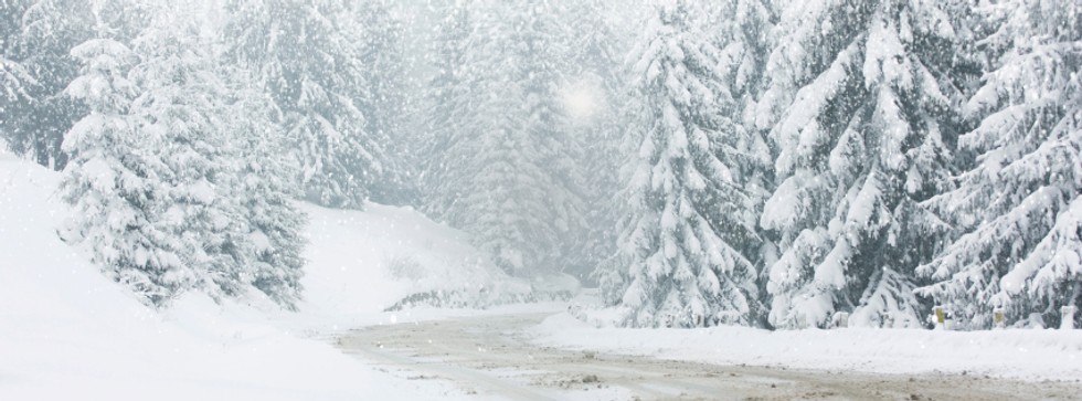 Untitled design (86).png