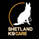 SK9 Logo - Black Square.jpg