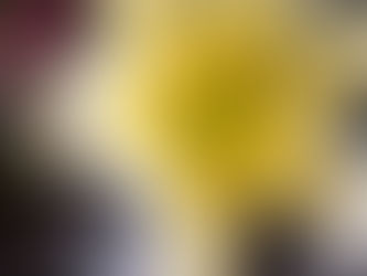 【発見】最近の混ざっていた品種シリーズ