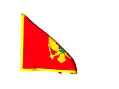1465587991_1724.gif