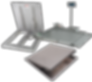 Platform Scale