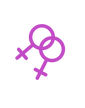 flowers.png