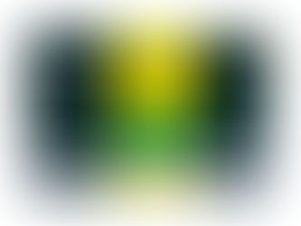 Enjoy Pure Sikkim Flavour – Temi Green Tea Bags for a Fresh Daily Sip