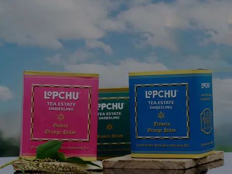 Discover Premium Assam Tea with Trusted Tea Suppliers in Assam