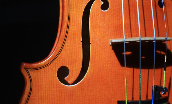 Violin F-hole and Bridge