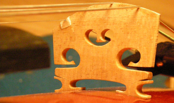 Violin student, viola sudent, violi rental, violin repair, bow rehair, bow rehairing, Tacoma
