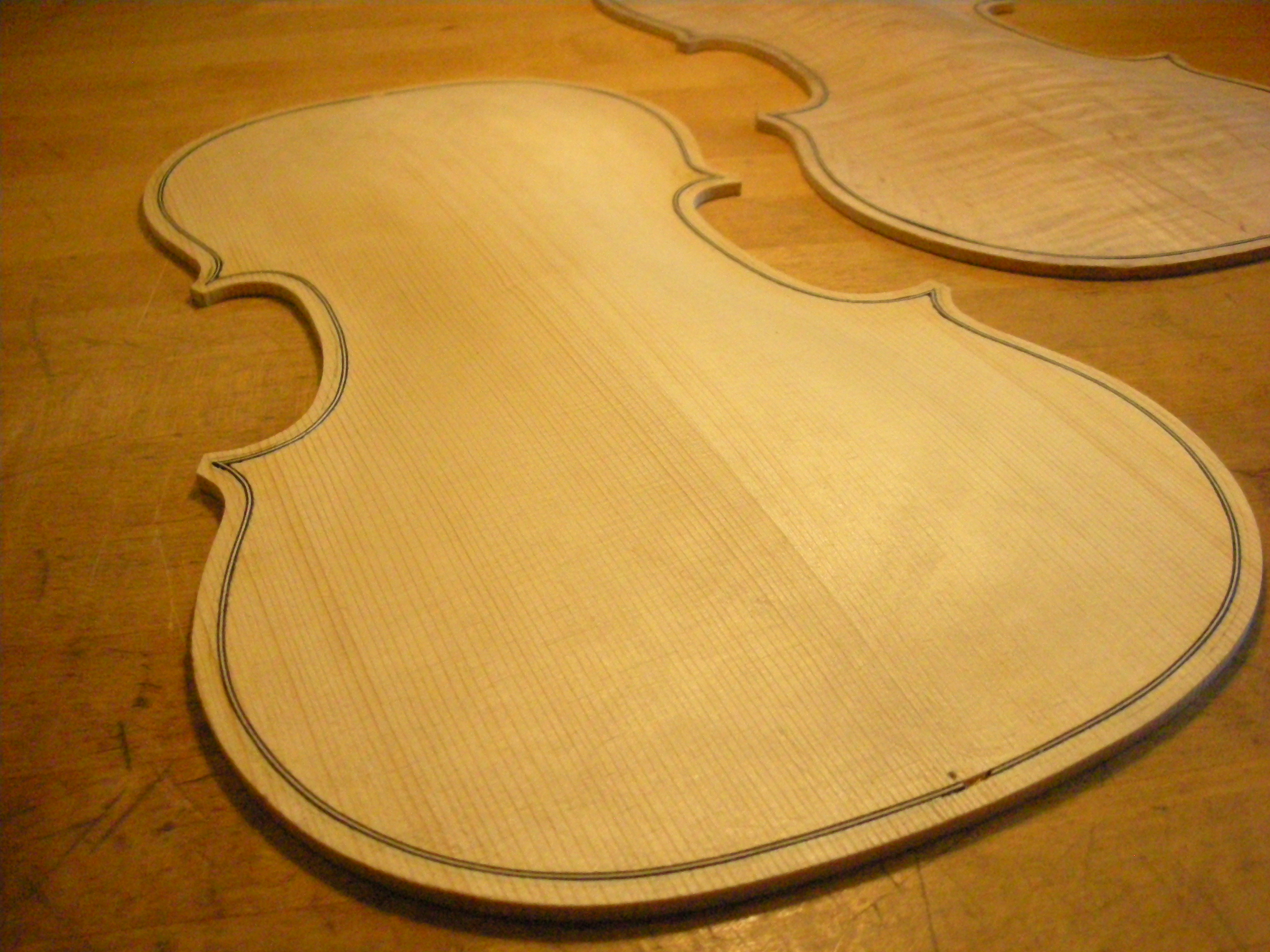 locally owned community violin shop. WA