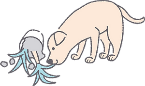 犬のいたずら