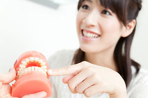 歯科模型で説明