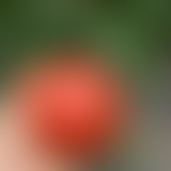 Tomatoes on tomatoes