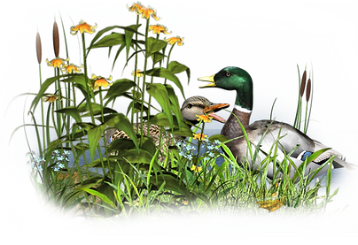 68277247_Flowers_and_the_birds12.png