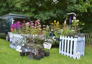 _DSC0565_auction.jfif