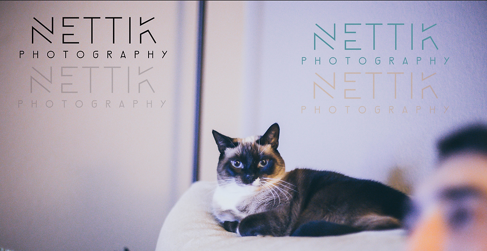 Different colors and opacity with watermark brush