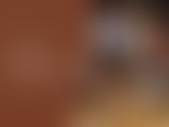 Tips for a Photoshoot with your Dogs