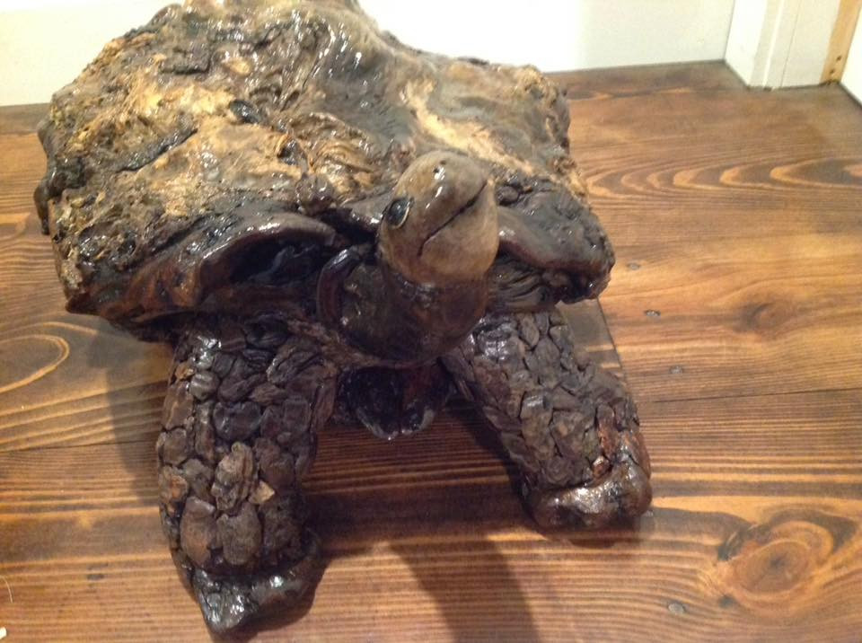 Thumbnail: Turtle