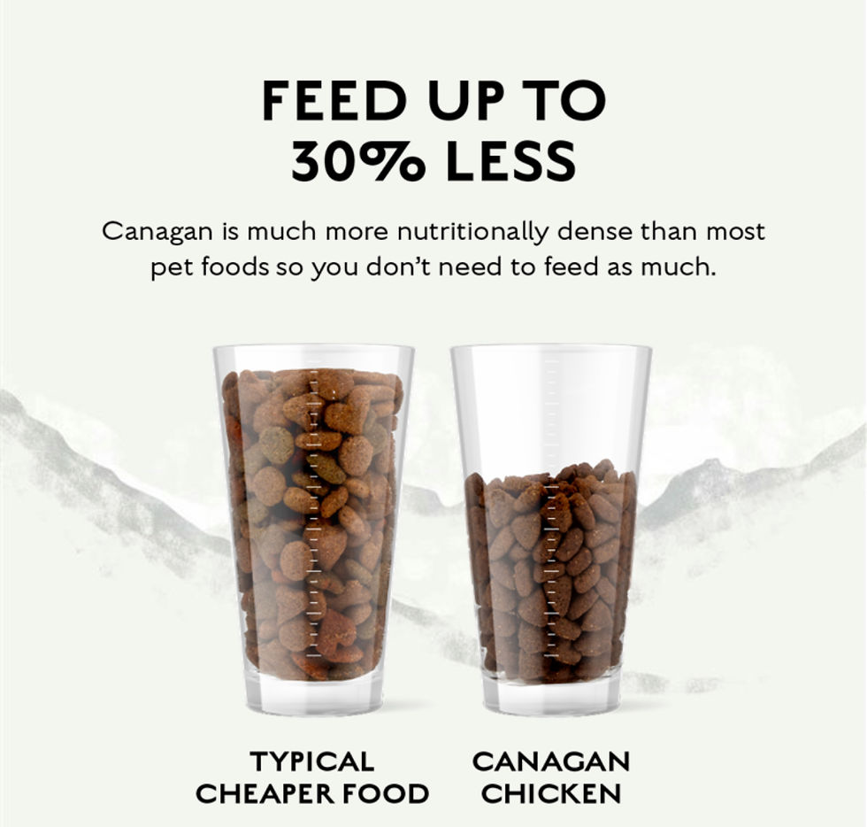 Thumbnail: Canagan Free Range Chicken Dog Food - image 3